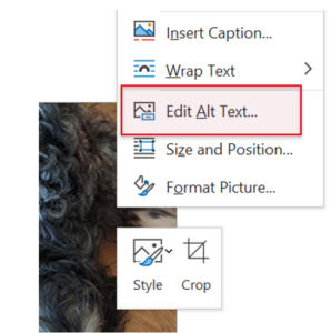 image menu in MS word with 'Edit Alt Text' highlighted